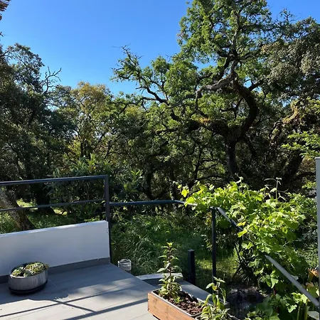 Casa Alana Mira (Leiria)