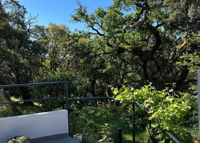 Casa Alana Mira (Leiria)